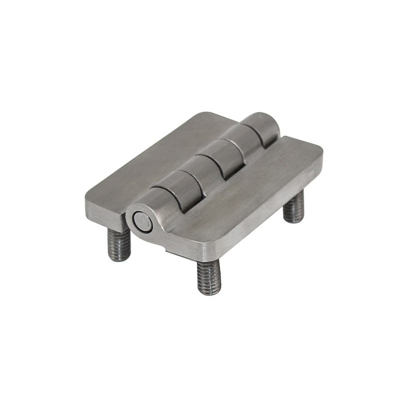 Cerniere CL209-1S In Acciaio Inox Spazzolato E Lucido Con Perno