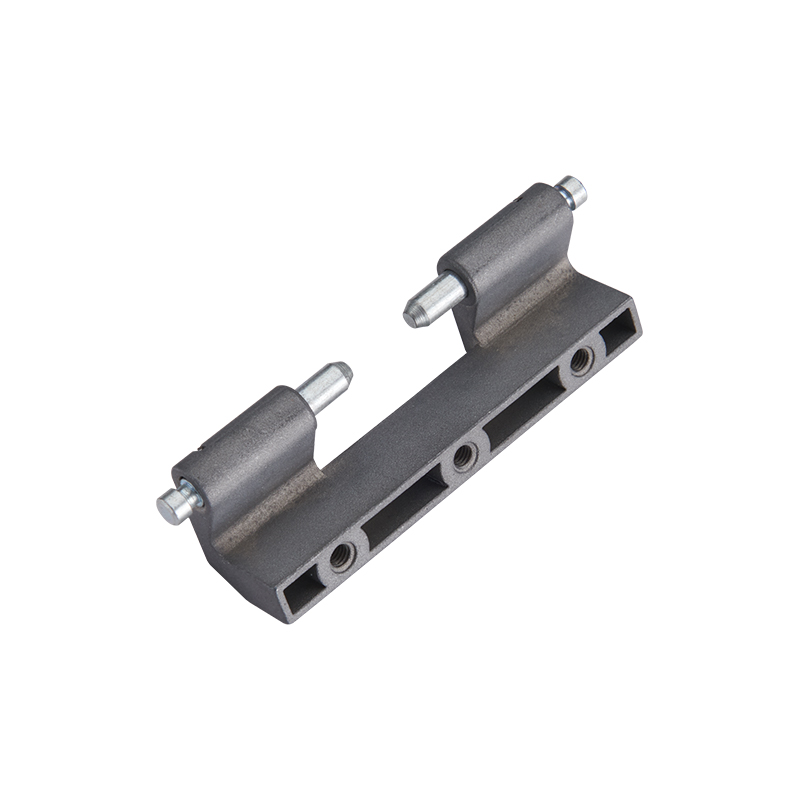 CL201-2S ​​Cerniere in acciaio inossidabile con carico radiale 1300N Carico assiale 1200N