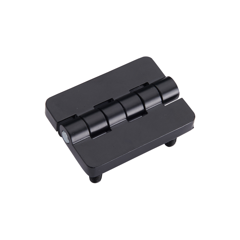 Cerniere CL209-1S In Acciaio Inox Spazzolato E Lucido Con Perno